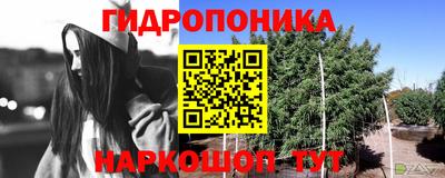 стафф Балашиха