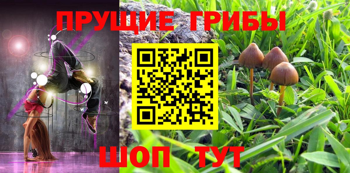 Псилоцибиновые грибы Psilocybe Екатеринбург